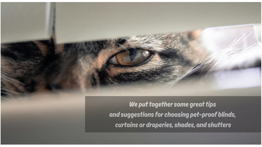 What Are Pet-Proof Blinds?