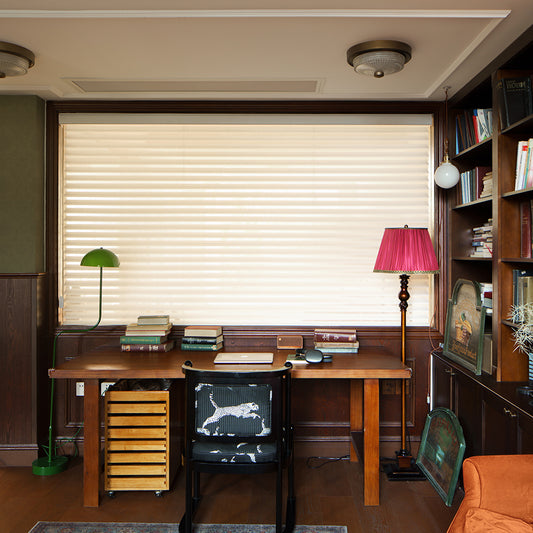 Zebra Shades - VeilVeil