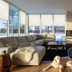 Modern Roman Shades
