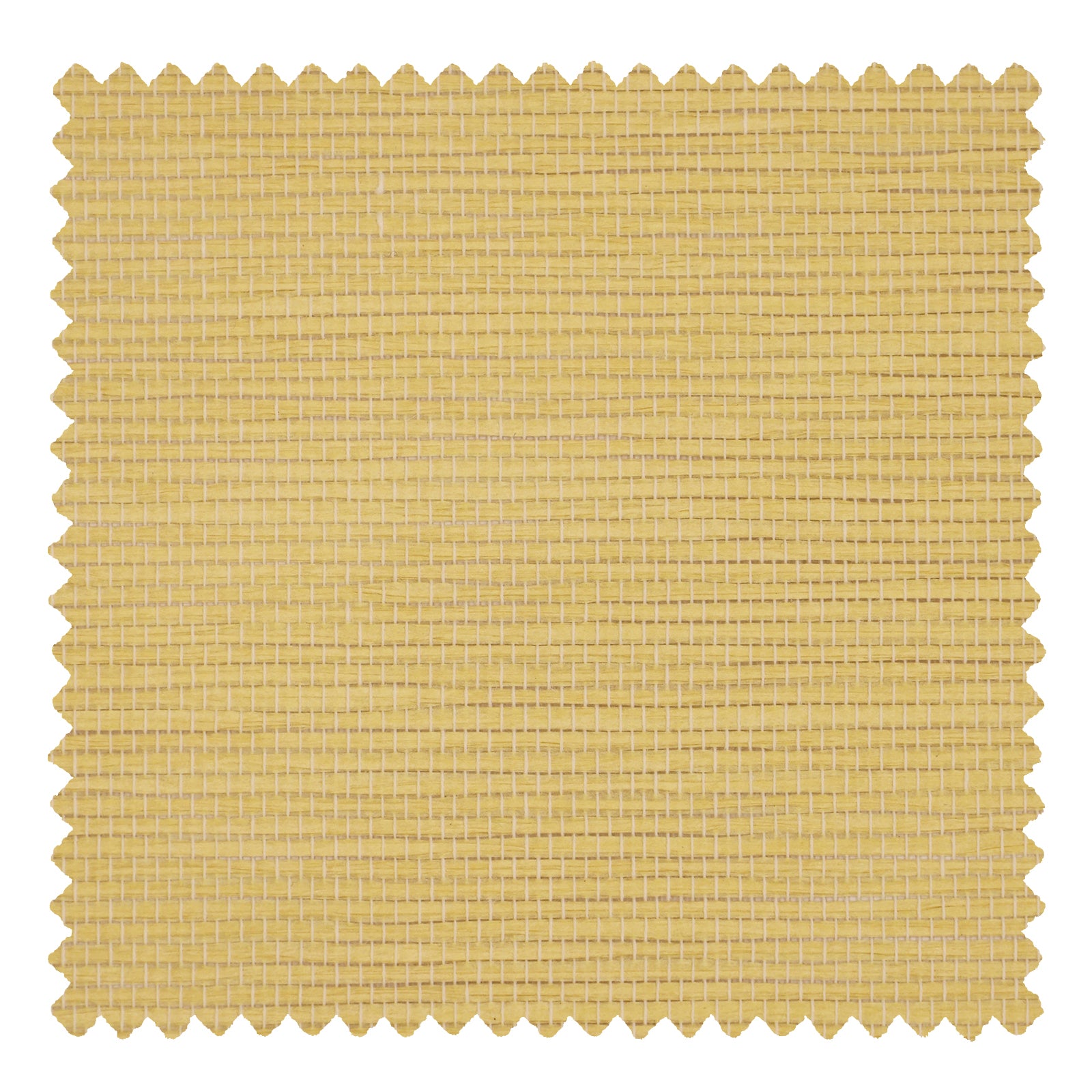 2011-A-2 Beige - VeilVeil