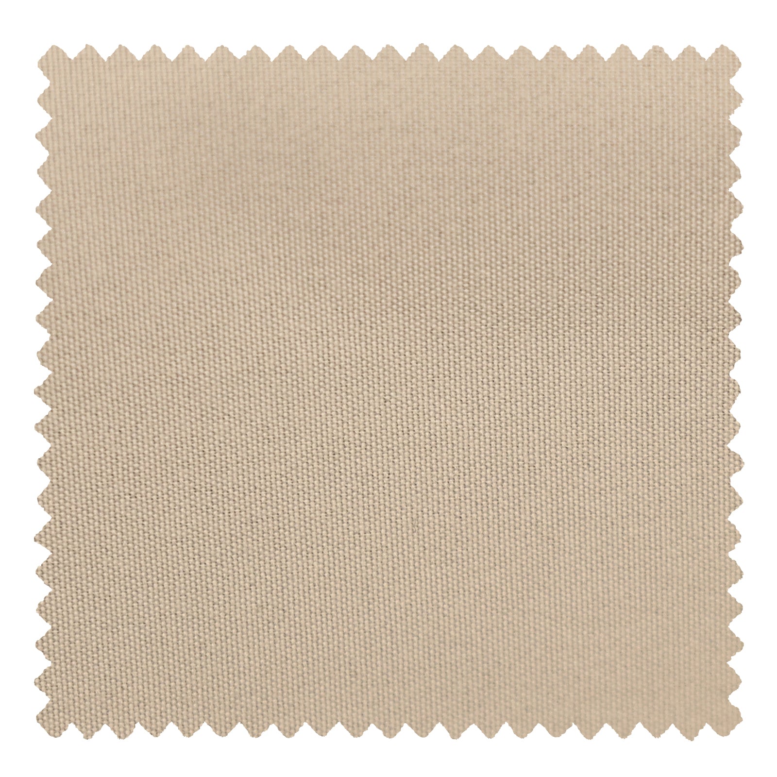OY3-218-2 Beige - VeilVeil