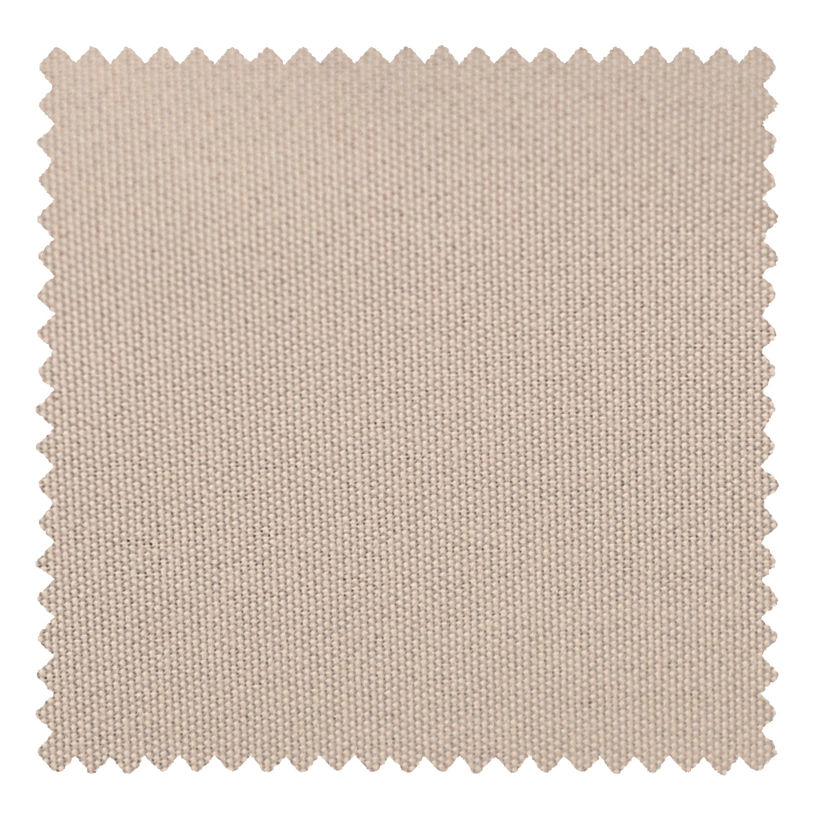 OY3-218-3 Sea Shell - VeilVeil