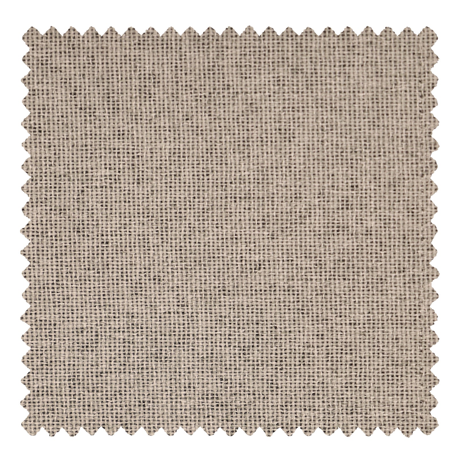 OY6-238-10 Silver - VeilVeil