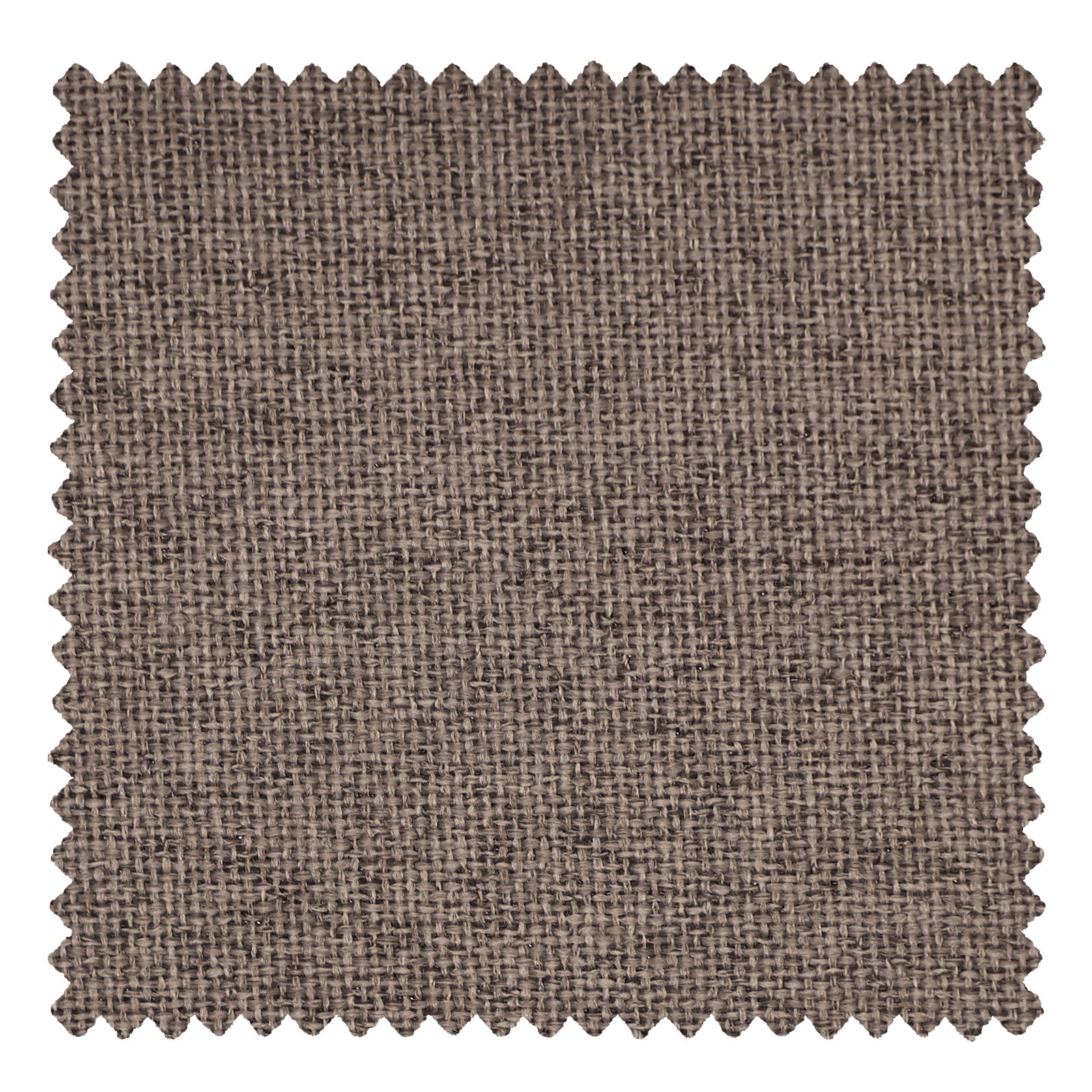 OY6-238-19 Dark Slate Gray - VeilVeil