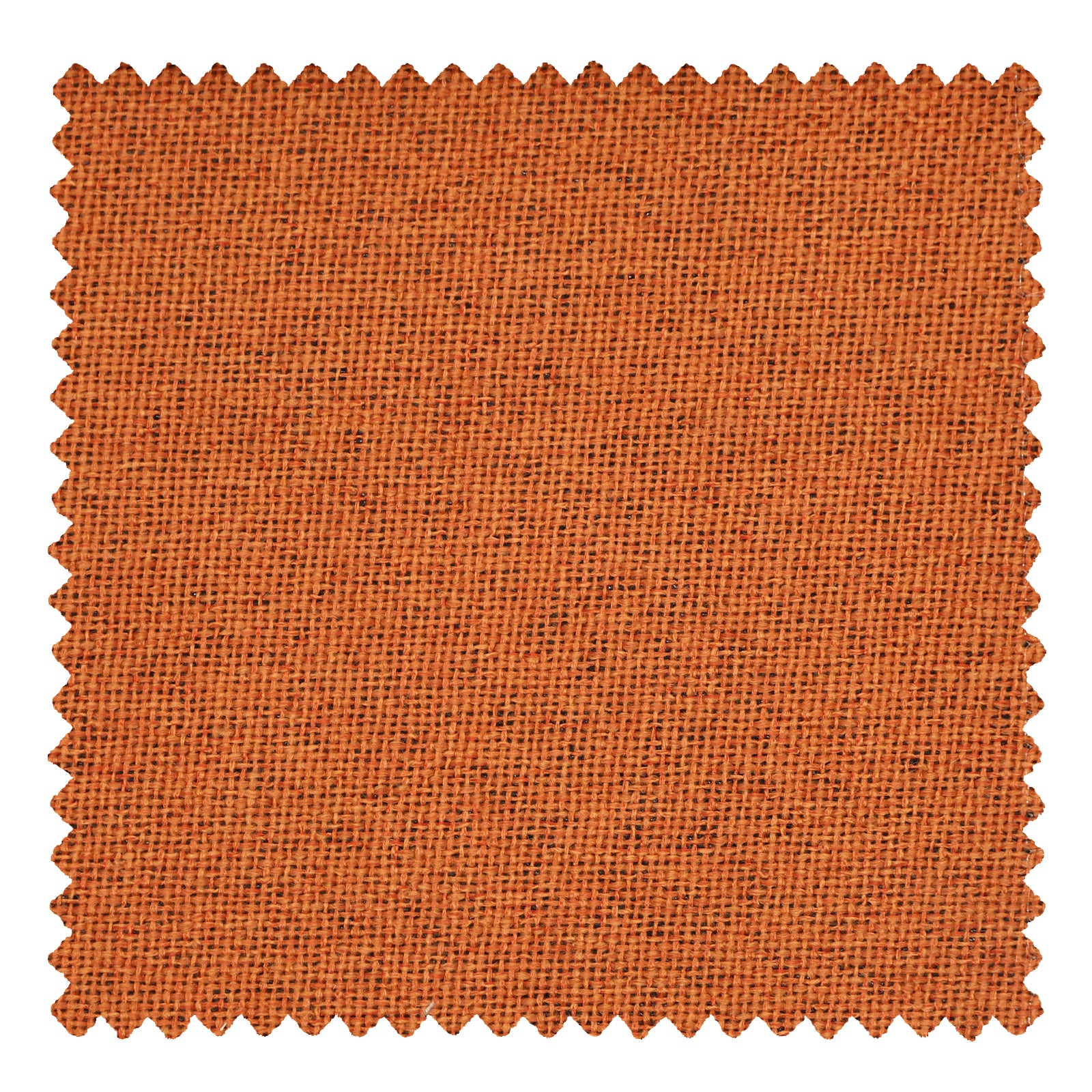 OY6-238-3 Coral - VeilVeil