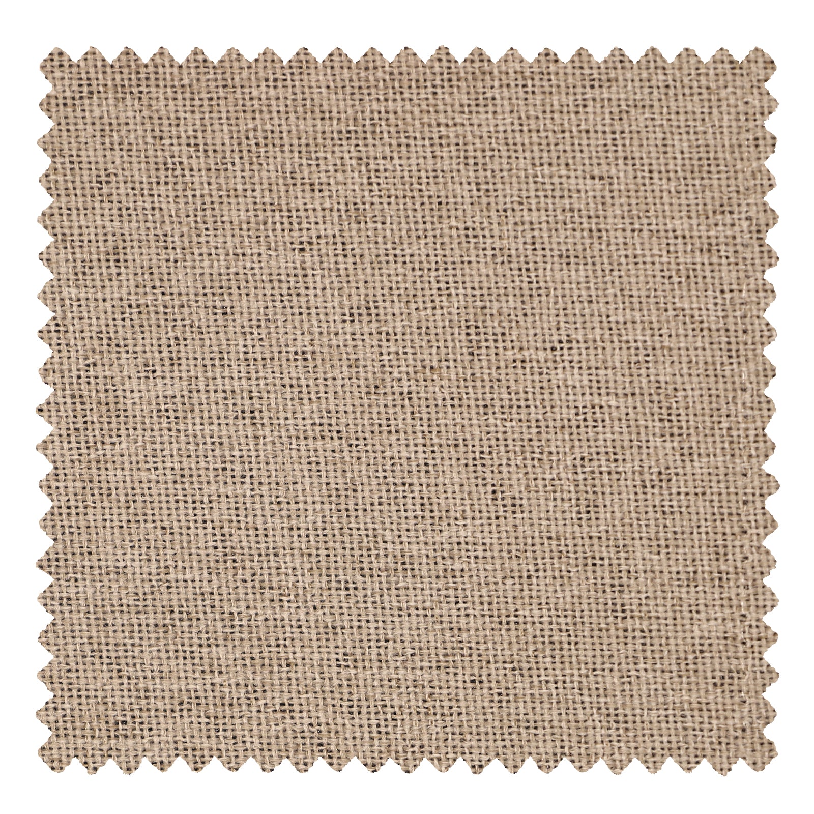 OY6-238-4 Light Grey - VeilVeil