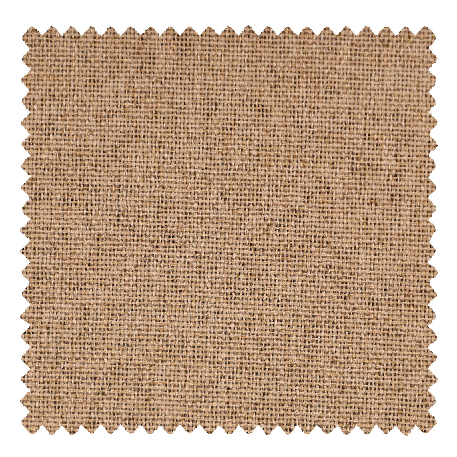 OY6-238-7 Sliver Gray - VeilVeil
