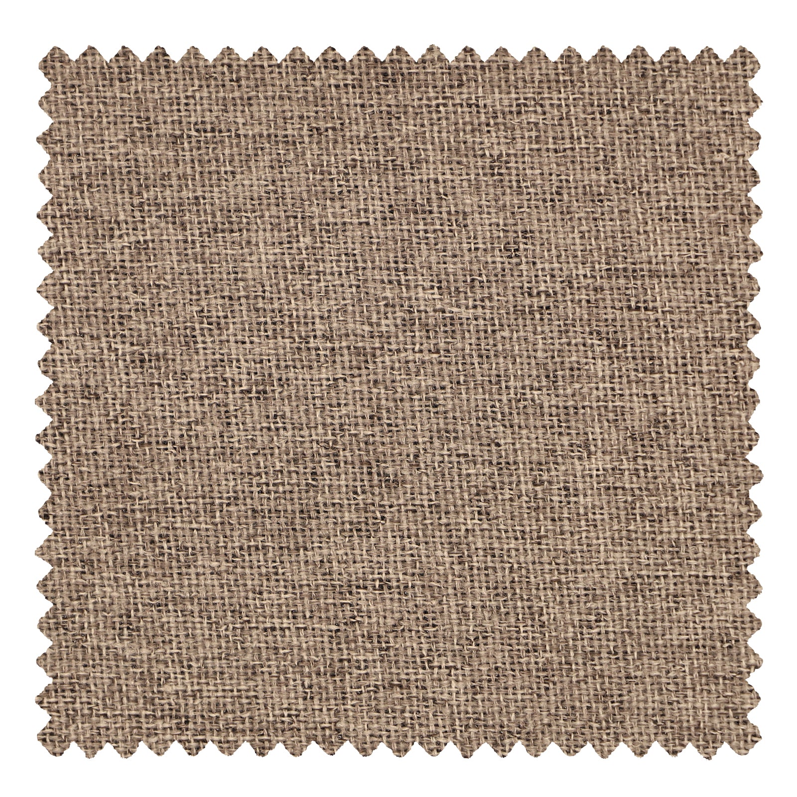 OY6-238-8 Light Brown - VeilVeil