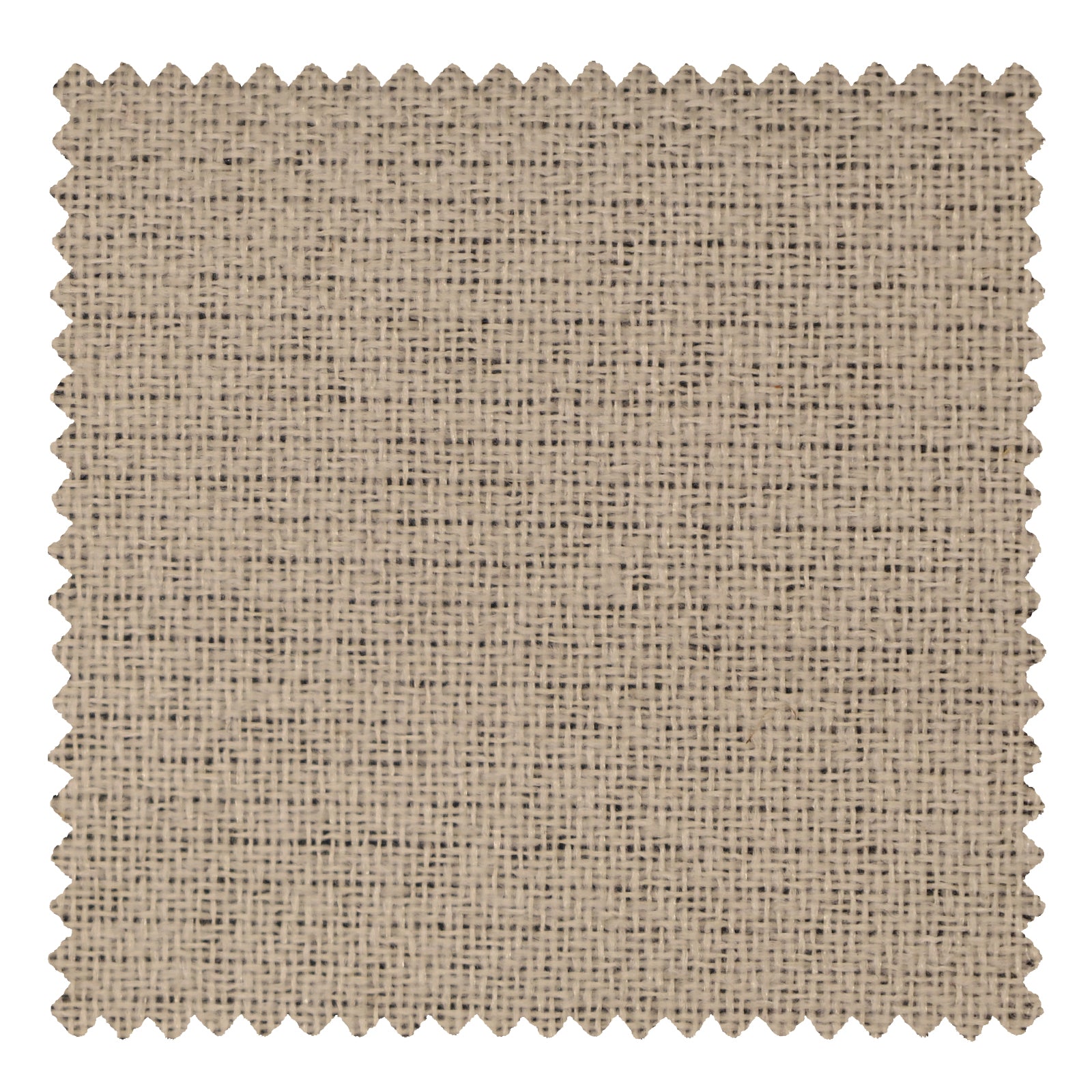 OY9-239-1 Silver Gray - VeilVeil