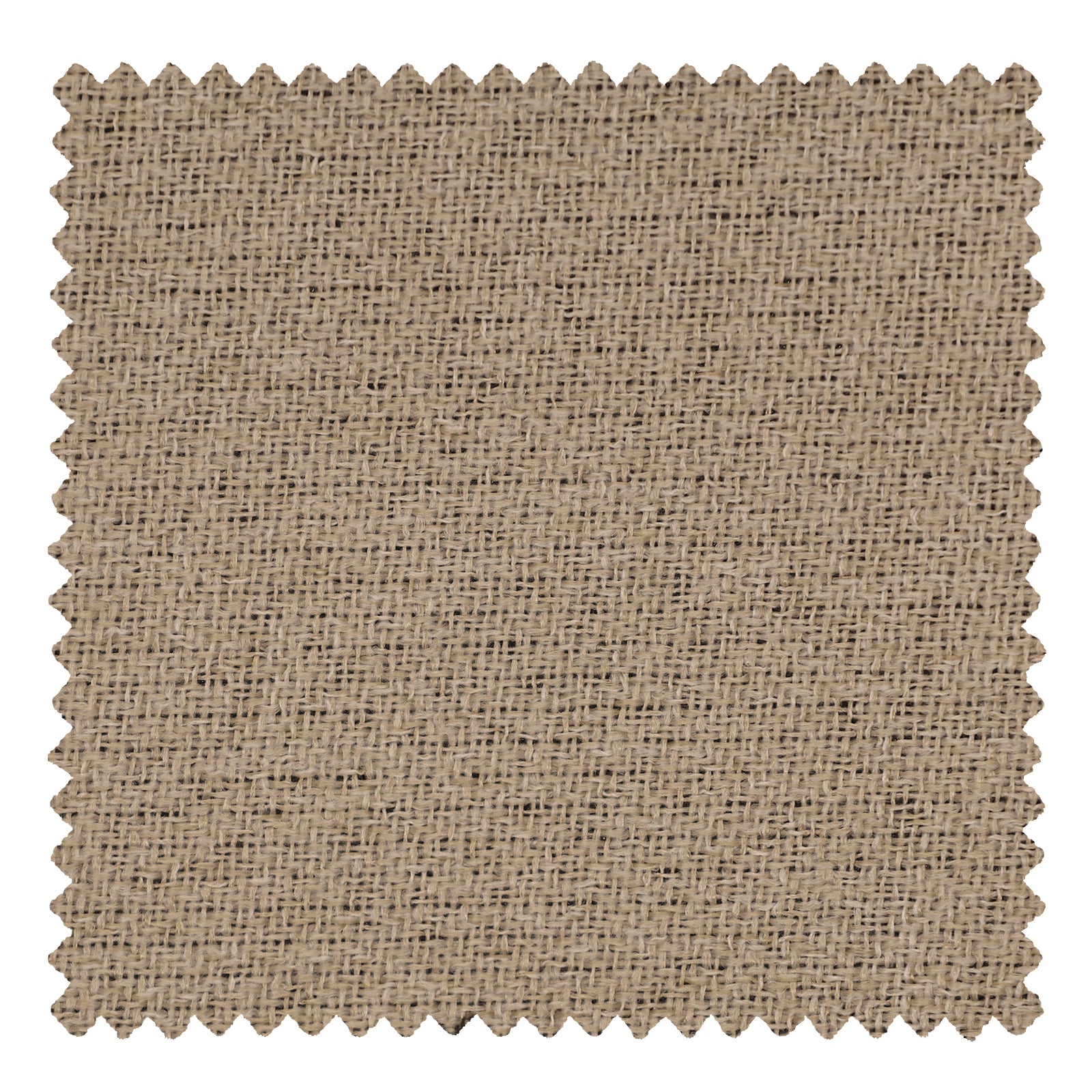 OY9-239-4 Eggshell - VeilVeil