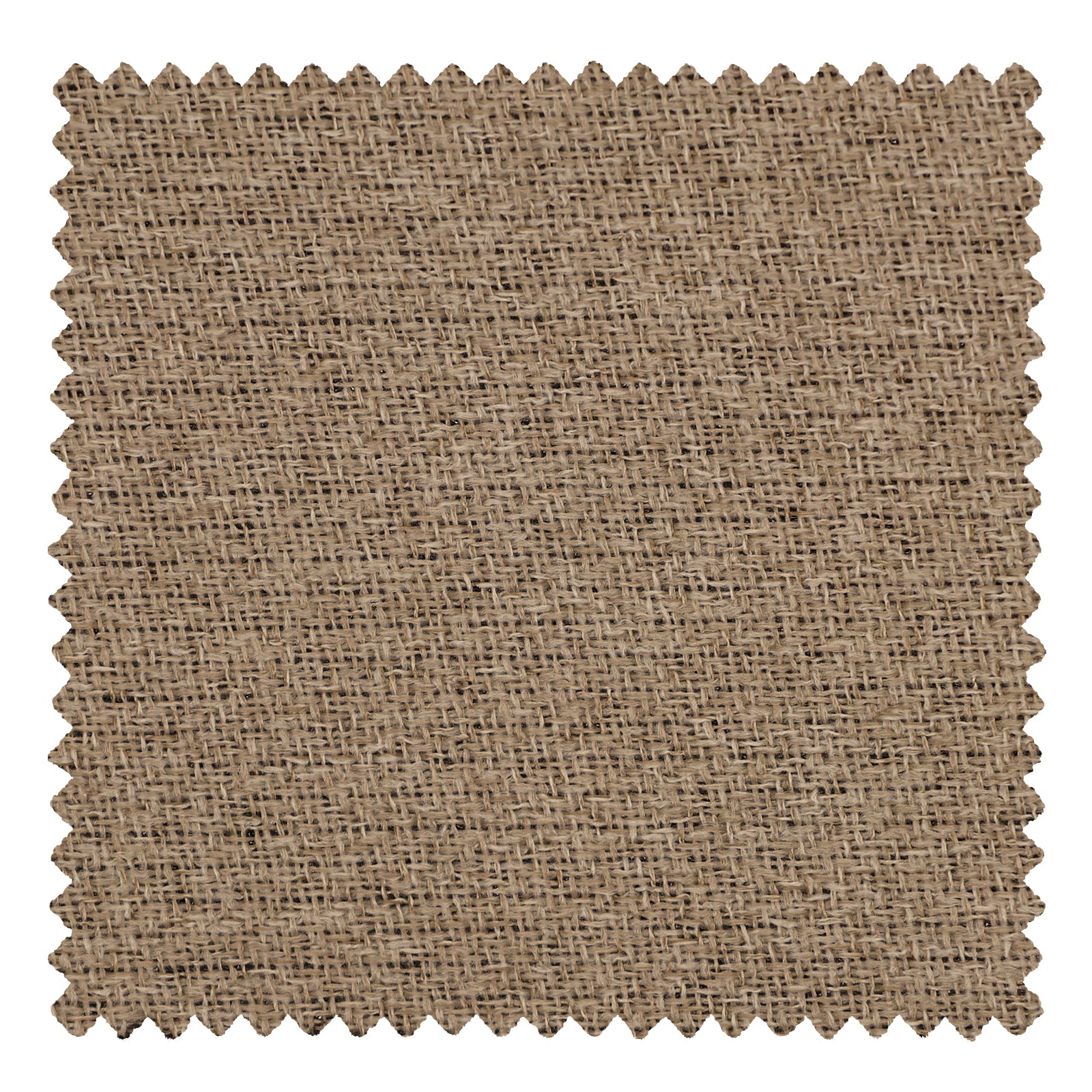 OY9-239-5 Grullo - VeilVeil