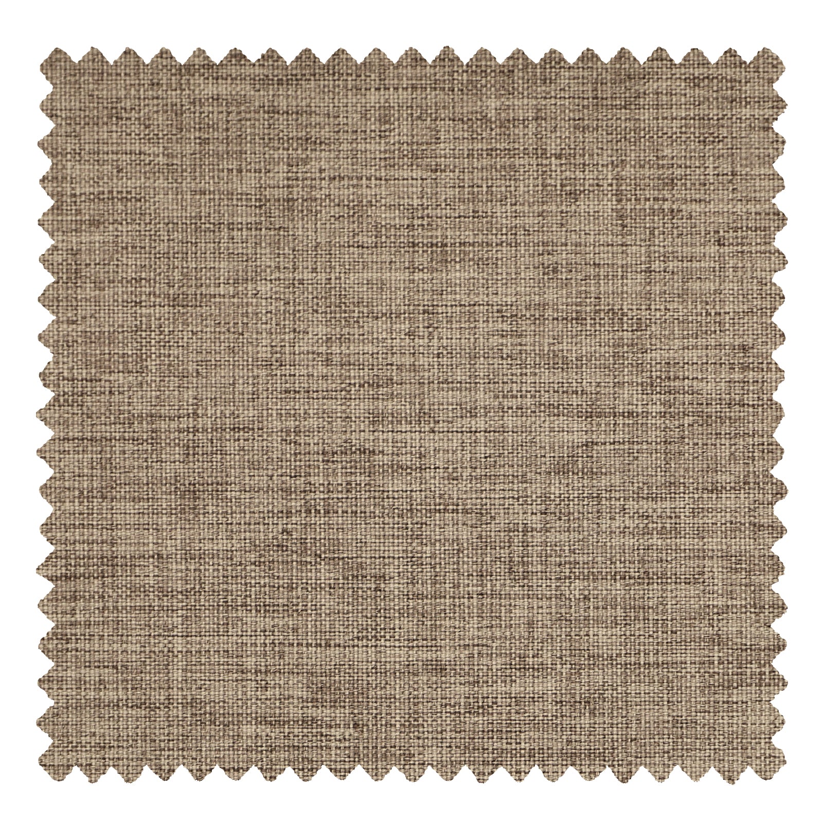 OY8-258-14 Little Tan - VeilVeil