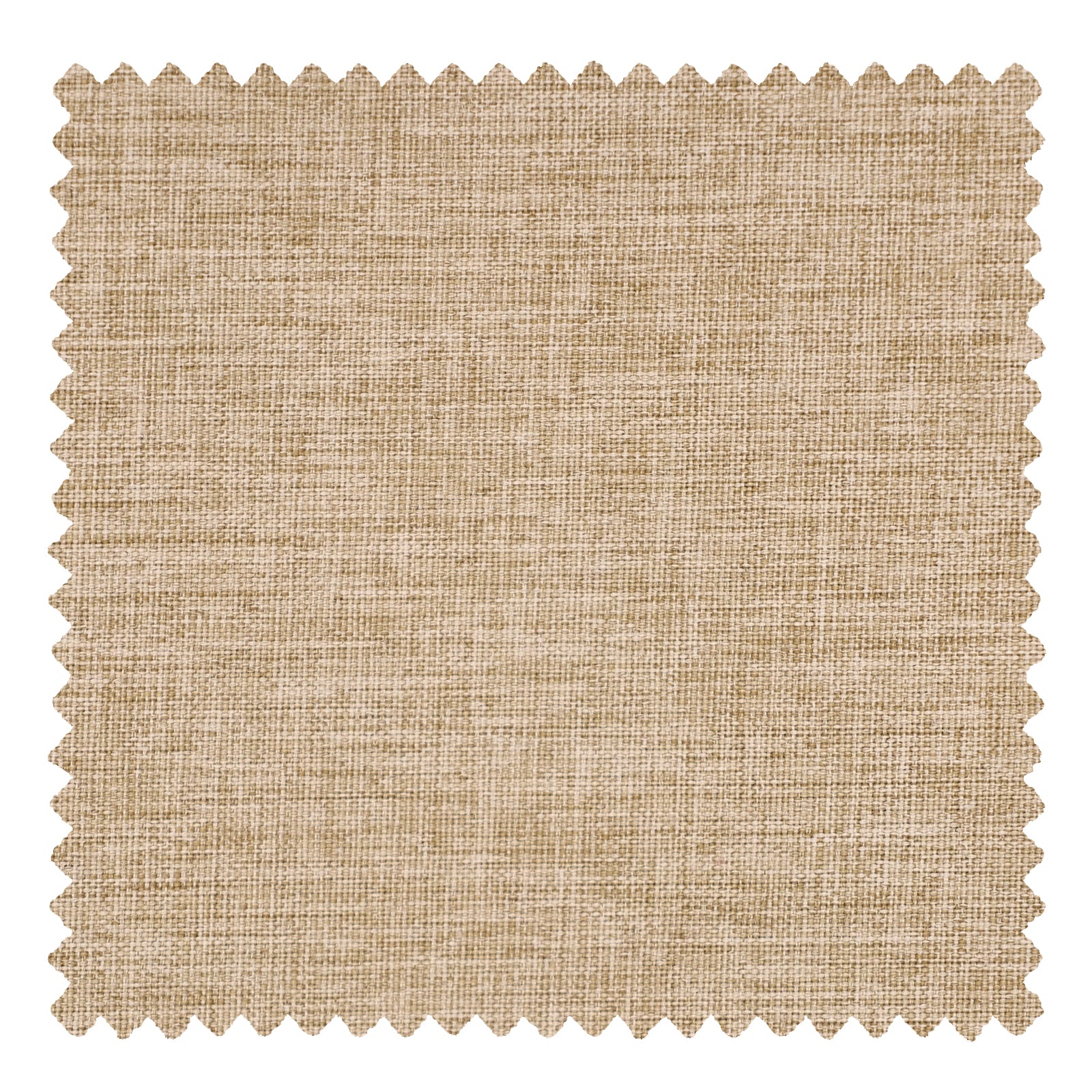 OY8-258-4 Wheat - VeilVeil