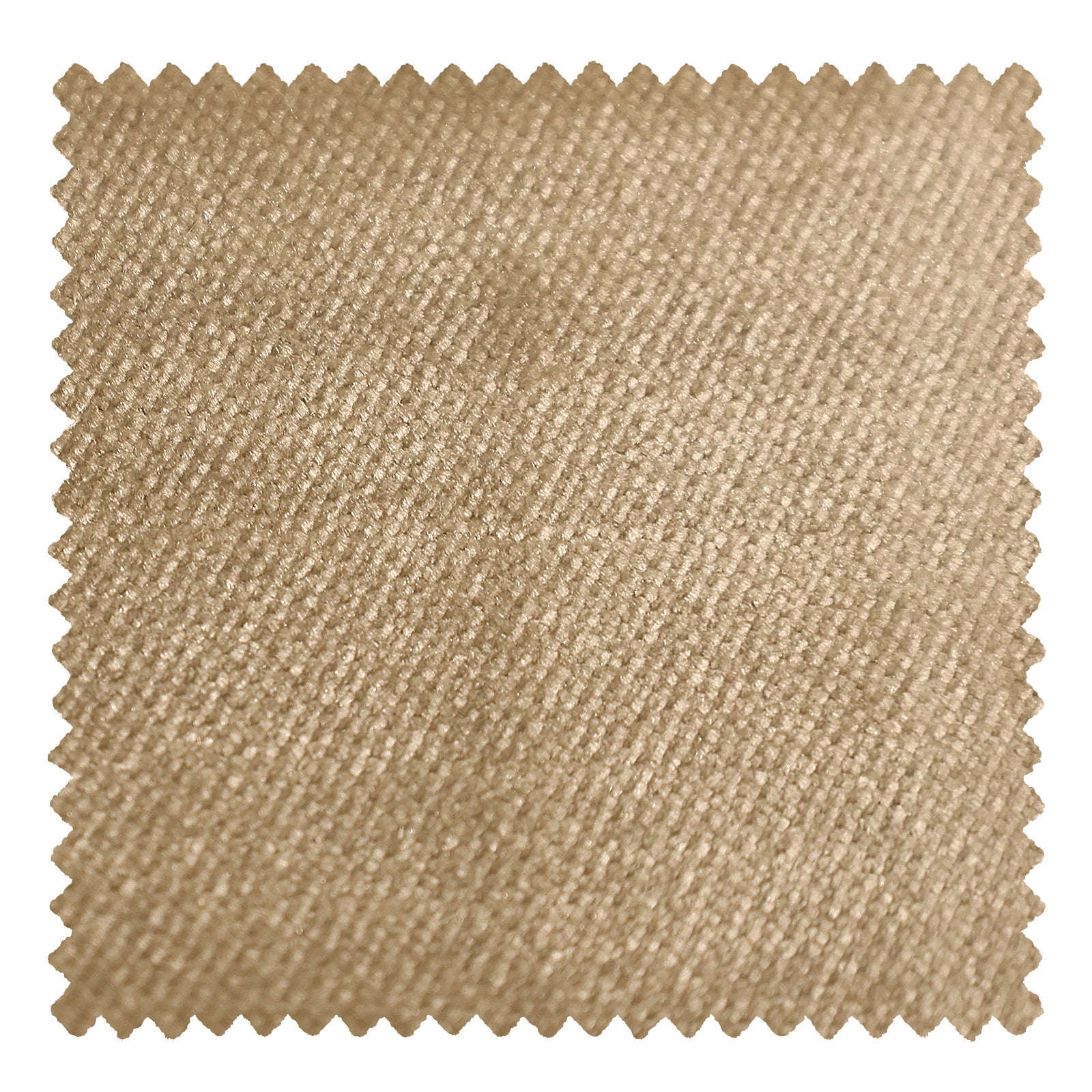 JJ9112-30 Ecru - VeilVeil