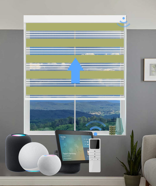 Smart Motorized Zebra Blinds White Trim