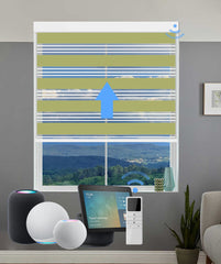 Smart Motorized Zebra Blinds White Trim