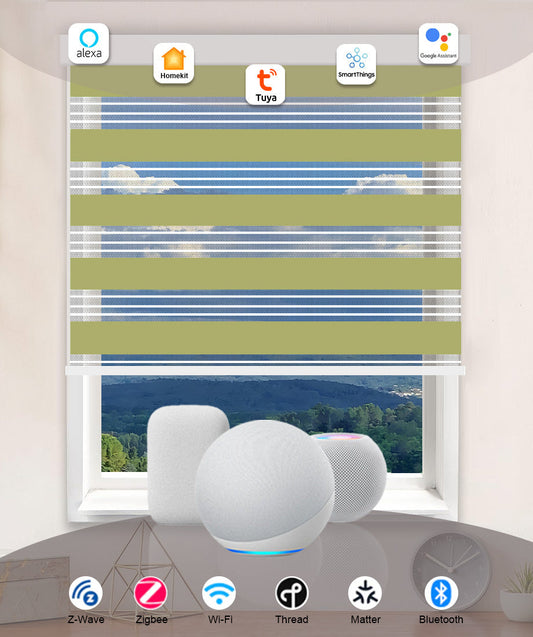Smart Motorized Zebra Blinds White Trim