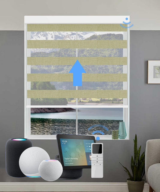 Smart Motorized Classic Zebra Blinds