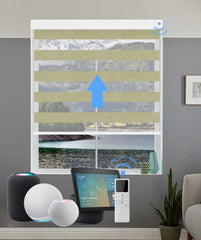 Smart Motorized Classic Zebra Blinds