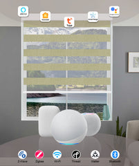 Smart Motorized Classic Zebra Blinds