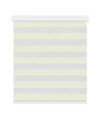 Smart Motorized Classic Zebra Blinds
