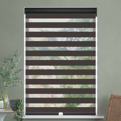 Traditional Room Darkening Dual Shade