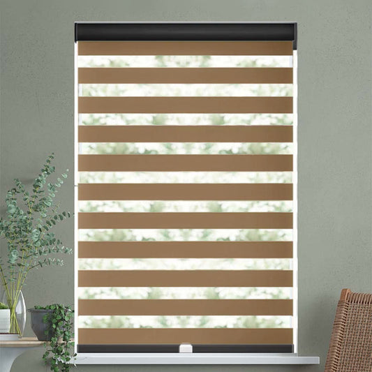 Traditional Room Darkening Dual Shade