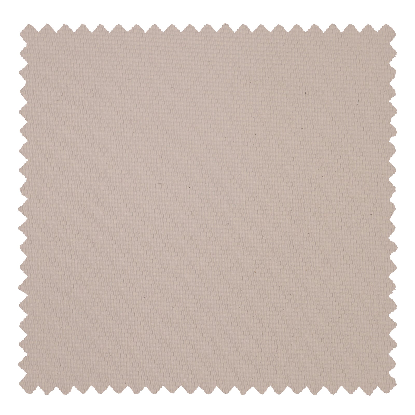 NF-0101 White - VeilVeil