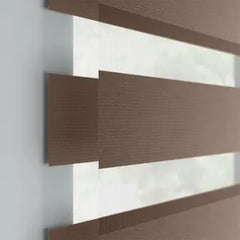 Traditional Room Darkening Dual Shade