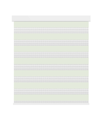 Smart Motorized Zebra Blinds White Trim