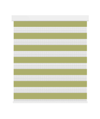 Smart Motorized Zebra Blinds White Trim